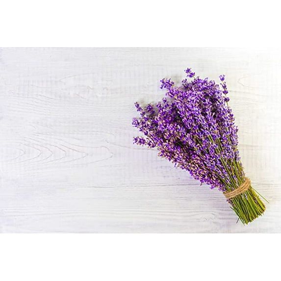 English Lavender Herb Seeds - Non-GMO