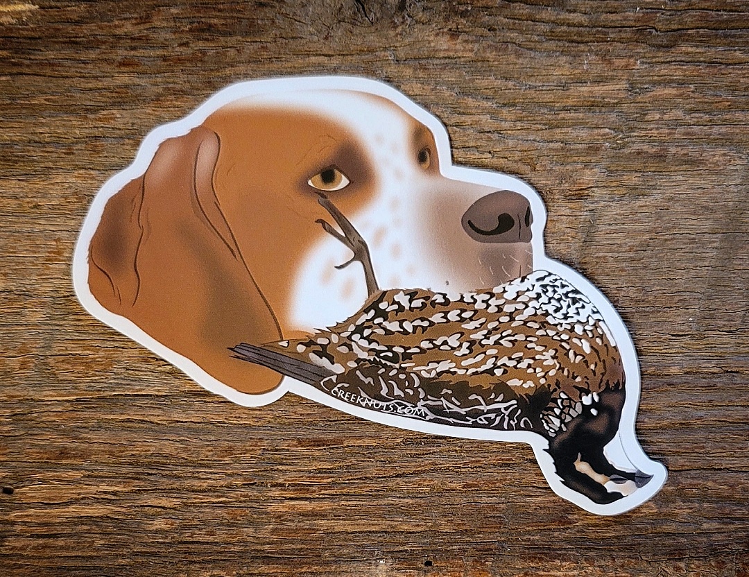 English Pointer with Quail Sticker Decal - Walmart.com