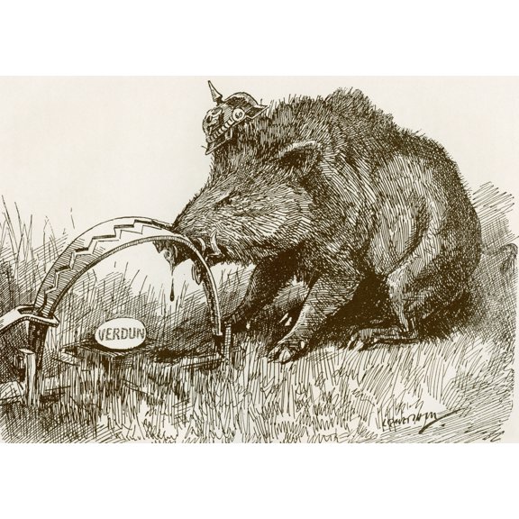 English Propaganda Picture Showing A Boar Representing The German Army With His Nose Caught In A Trap Battle Of Verdun 1