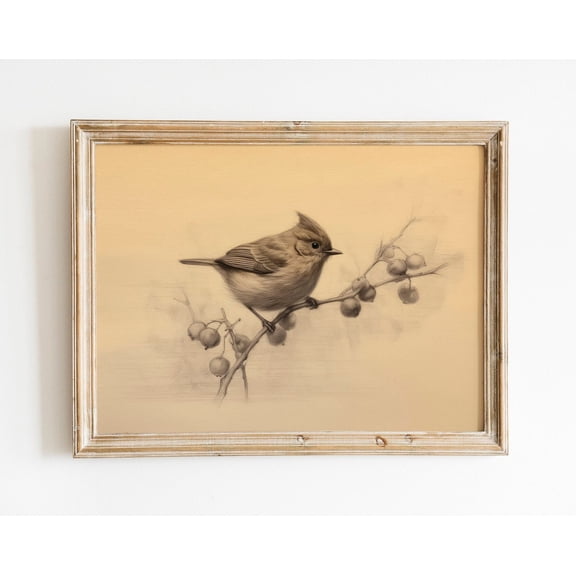 English Robin Vintage Bird Print, Antique Farmhouse Art, Rustic Bird Wall Art, Nature Wall Art, Vintage Decor Wall Art, Modern Wall Decor, 8x12 UNFRAMED