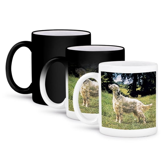 3dRose, English Setter, 11oz Magic Transforming Mug