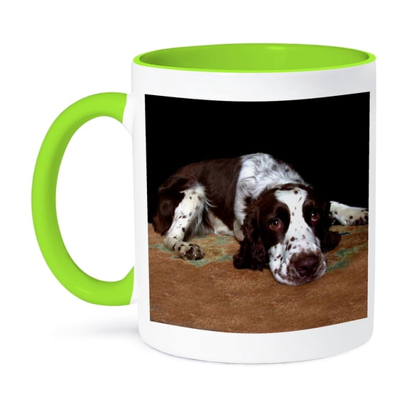 3dRose, English Springer Spaniel, 15oz Two-Tone Green Mug