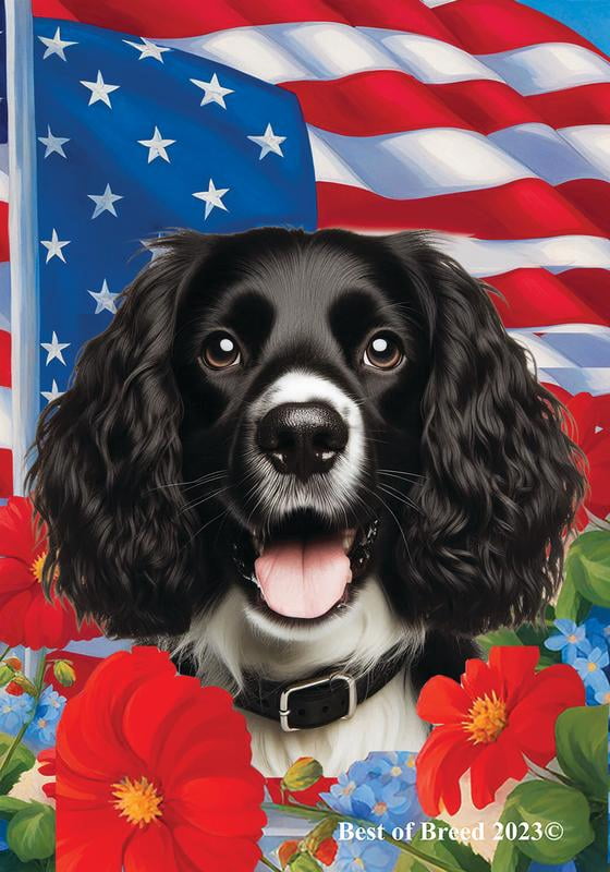 English Springer Spaniel Black/White - Best of Breed  Patriotic I House Flag