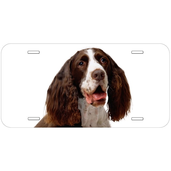English Springer Spaniel Novelty Car Auto License Plate