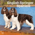 thumbnail image 1 of English Springer Spaniels | 2026 12x24" (Hanging) Wall Calendar | Plastic-Free, 1 of 9