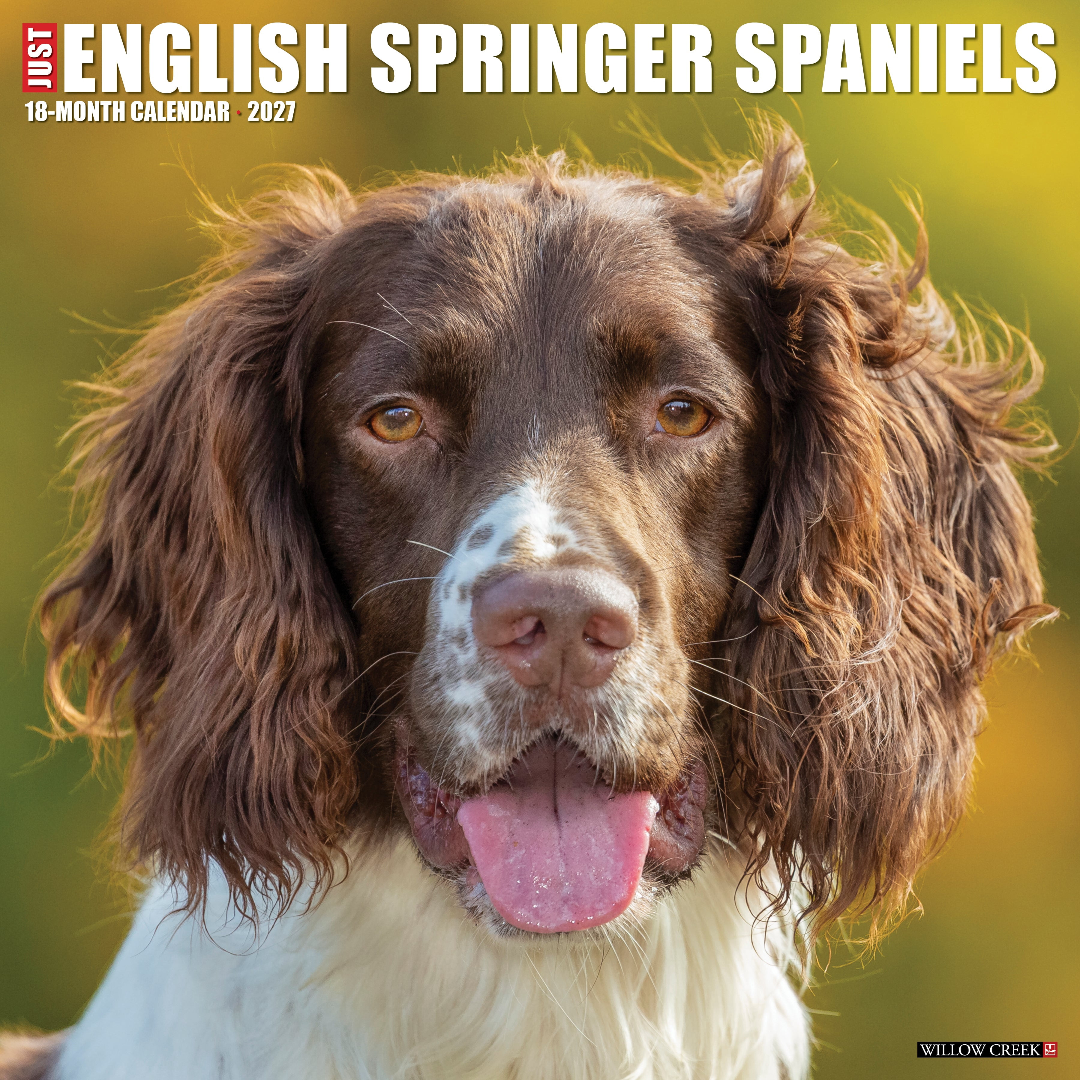 Willow Creek Press, English Springer Spaniels 2027 Wall Calendar