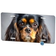 thumbnail image 1 of English Toy Spaniel Dog Photo Metal Novelty License Plate, 1 of 7