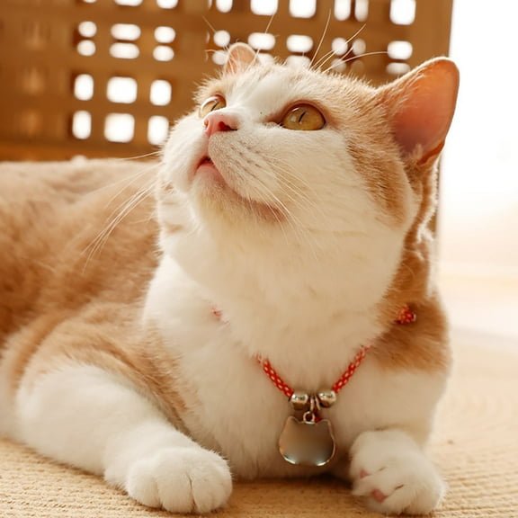 Engraved Pet ID with Loss Locator for Secure Metal Nameplates on Dog and Cat Collars