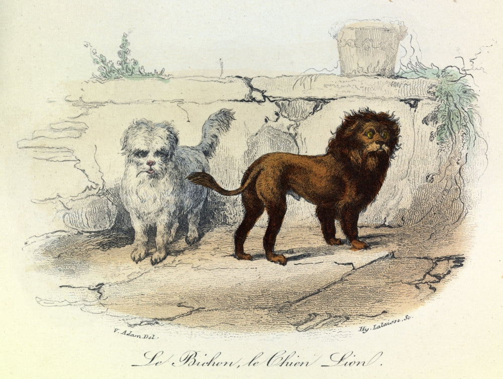 Engraving Canvas Art - (36 x 24)