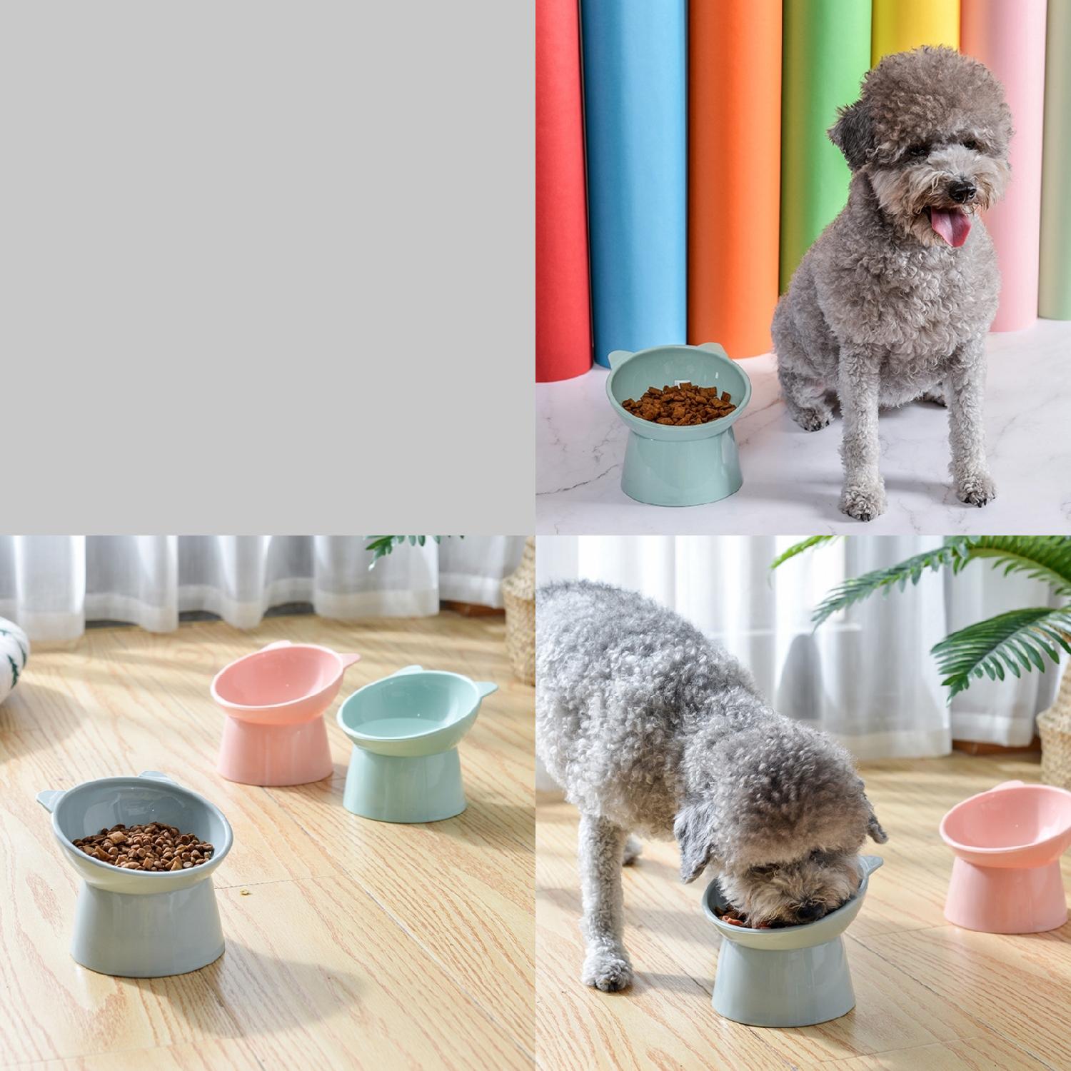 Enhanced Modern Functional Elevated Slanted Tilted Cat Food Bowl