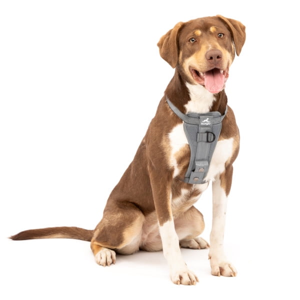Enhanced Strength Tru-Fit Smart Harness, Charcoal, M