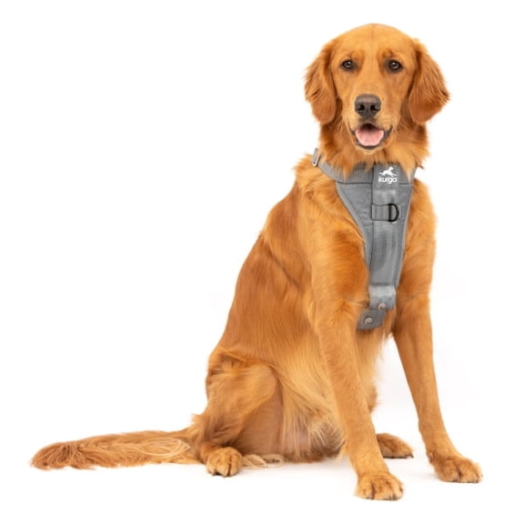 Kurgo Enhanced Strength Tru-Fit Smart Dog Harness, Charcoal, Xlarge - Crash Tested Car Safety