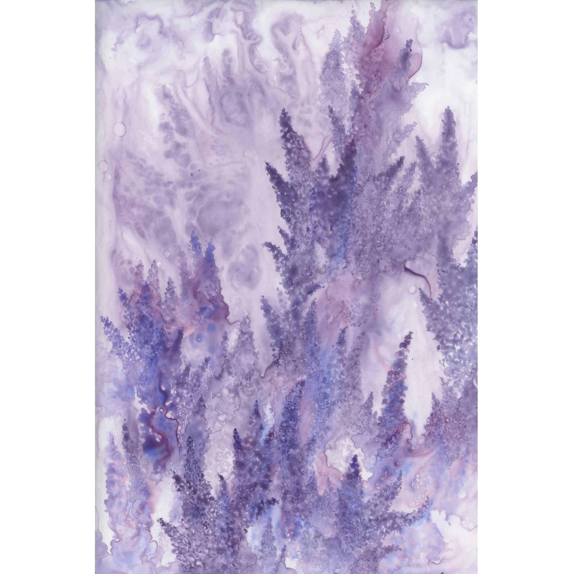"Enigma" Painting Print on Wrapped Canvas
