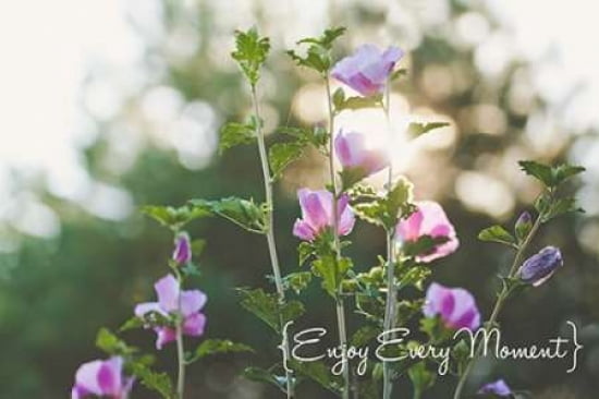 Enjoy Every Moment Canvas Art - Kelly Poynter  (24X36)