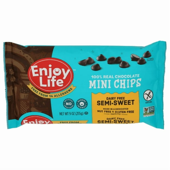 Enjoy Life Foods, Mini Chips Chocolate, Semi-Sweet, 9 oz