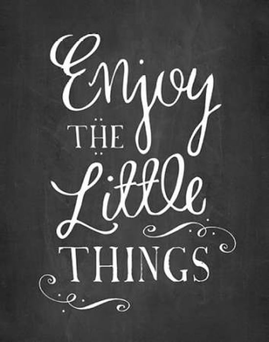 Enjoy the Little Things Canvas Art - Amy Cummings (22 x 28)