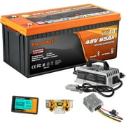 Enjoybot 48V 65Ah Bluetooth LiFePO4 Lithium Golf Cart 3328Wh Battery Conversion Kit, Built-in 120A BMS and Self-Heating,10 Years Lifetime, 6000+ Cycles, Peak Current 500A for Golf Cart, Lawn mower