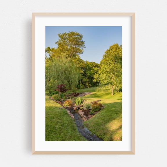 Enjoying the Brook at Sunset, York County PA - Pennsylvania Photography Garden Nature Scenic Landscape Woodland Water Botanical Oak Framed Wall Art Print 16 x 24 inches