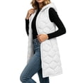 thumbnail image 1 of Enjoytime Long Puffer Vest for Women Sleeveless Zip Up Hooded Quilted Gilet Fall Winter Warm Casual Padded Outerwear with Zipper Pockets, 1 of 8
