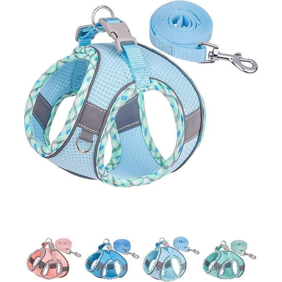 Enkarl Dog Harness for Small Medium Dogs No Pull, Puppy Harness and Leash Set, Easy Walk Dog Harness for Walking, Running, Training, Small Dog Harness, Medium Dog Harness (Light Blue, M)