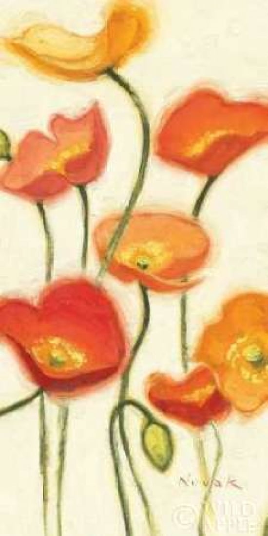 Enlightened Spirits III Canvas Art - Shirley Novak (10 x 20)