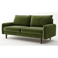 thumbnail image 1 of Enor Furniture Anacapa 70" Rounded Arm Upholstered Modern Velvet Sofa in Green, 1 of 14