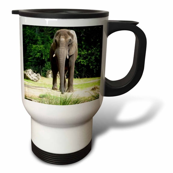 3dRose, Enormous elephant wandering around on a warm Florida day, 14oz Stainless Steel Travel Mug
