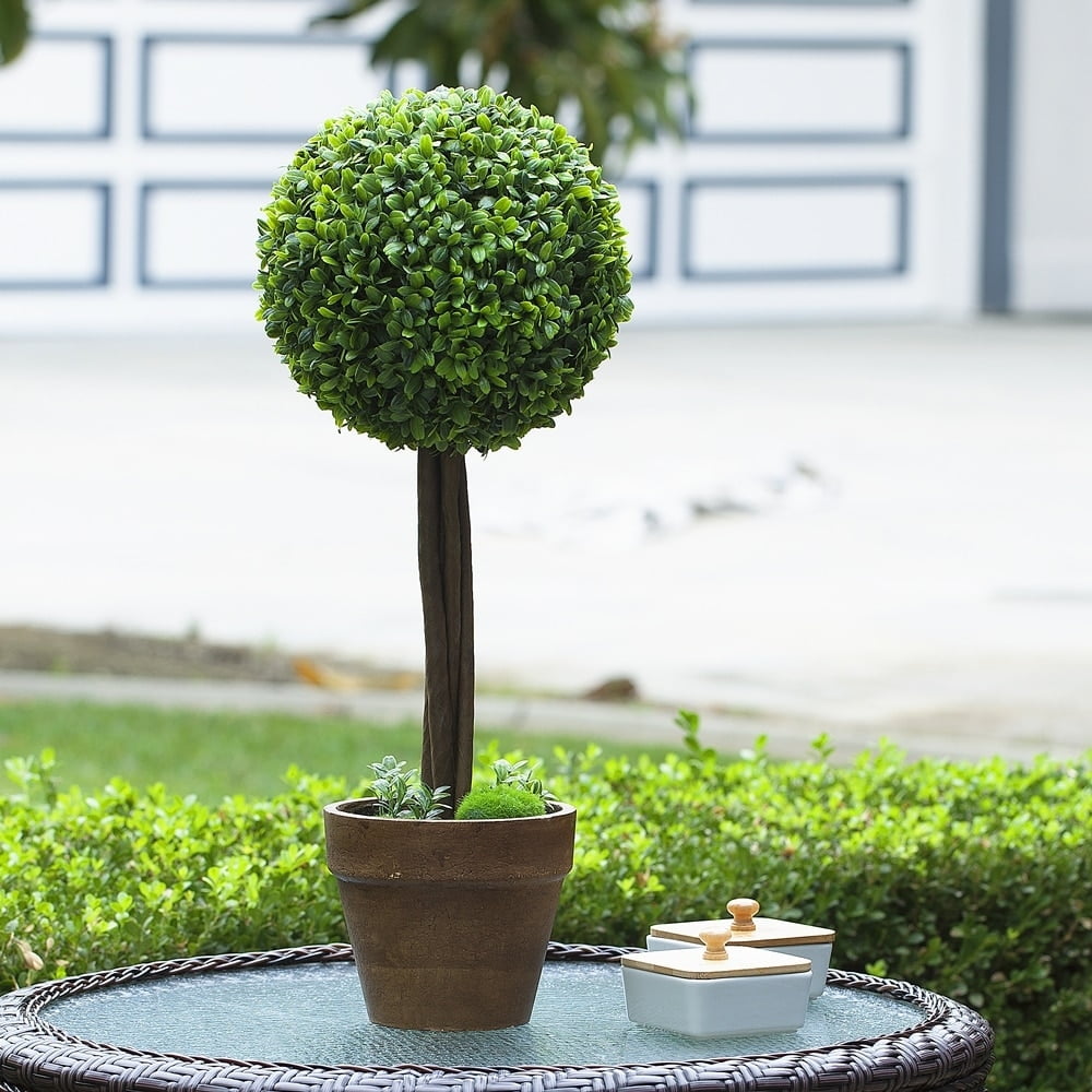 https://i5.walmartimages.com/seo/Enova-Home-Artificial-Boxwood-Single-Ball-Round-Topiary-Fake-Plants-in-Pot-for-Home-Office-Decoration-22-inch_8a4fddef-56df-4ffc-b6f0-183816e63bdd.d3ec0ae056c70c5c2fe54217d6106912.jpeg