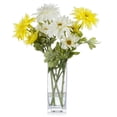 thumbnail image 1 of Enova Home Artificial Silk Daisy Fake Flower Arrangement in Clear Rectangle Glass Vase for Home Decór (Cream Yellow), 1 of 4