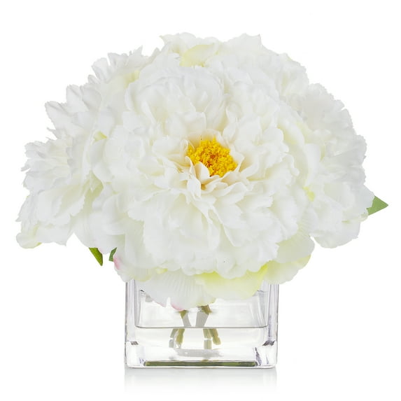 Enova Home Artificial Silk Peony Fake Flowers Arrangement in Cube Glass Vase with Faux Water for Home Office Decoration (Cream)