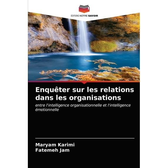 Enquêter sur les relations dans les organisations (Paperback)