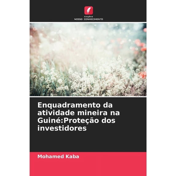 Enquadramento da atividade mineira na Guiné: Proteção dos investidores (Paperback)