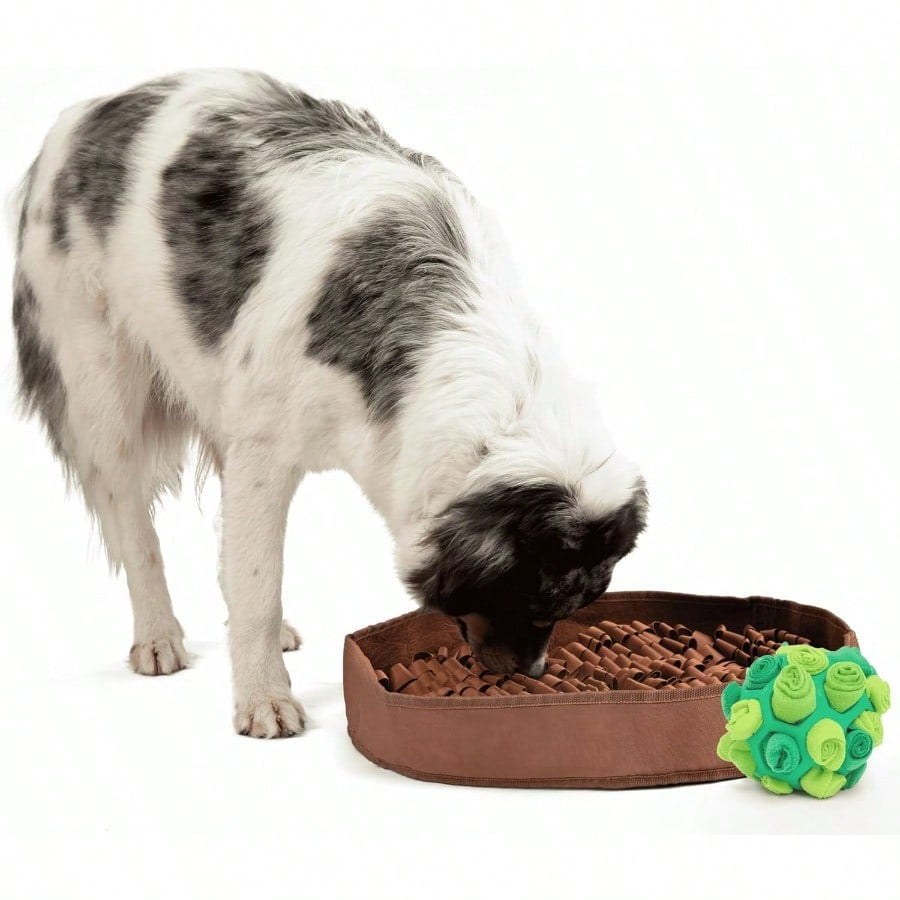 Curated visual reference: Enrichment Value Pack For Dogs With Stimulating Feeder Mat And Photo Inspiration