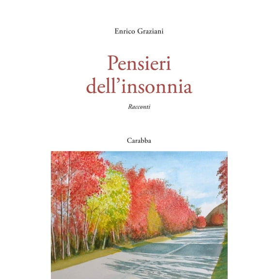 Enrico Graziani Pensieri dell'insonnia (Paperback)