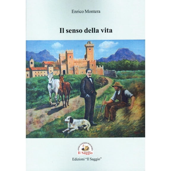 Enrico Montera Il senso della vita (Paperback)