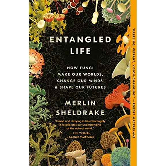 Pre-Owned Entangled Life : How Fungi Make Our Worlds, Change Our Minds and Shape Our Futures (Paperback) 9780525510321