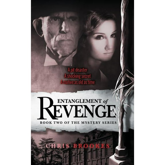Entanglement Of Revenge, (Paperback)