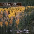 thumbnail image 1 of Enter Autumn, 1 of 1