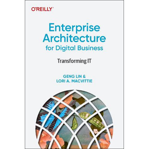 Enterprise Architecture for Digital Business: Transforming It (Paperback)