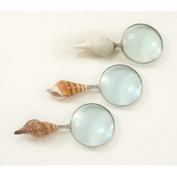 Enthralling Brass Shell Magnify 3 Assorted