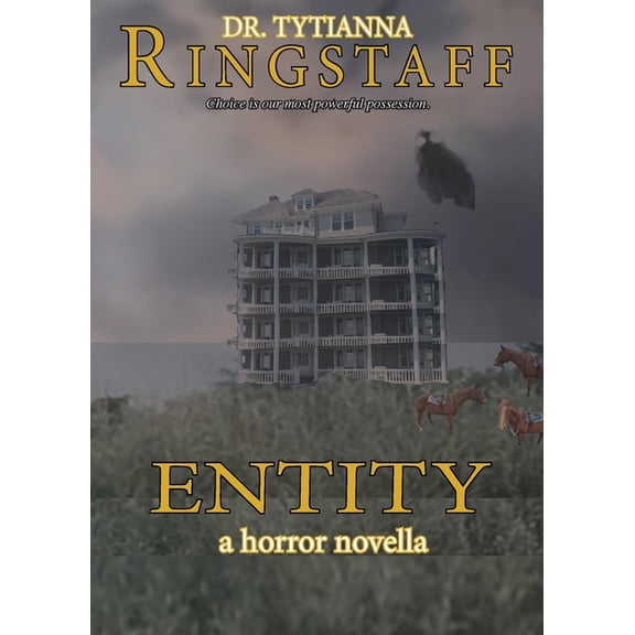 Entity: A Horror Novella, (Paperback)