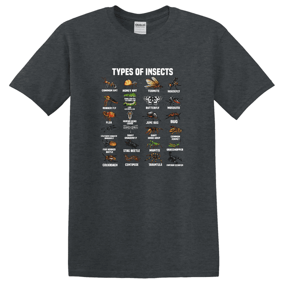 Entomology Insect Bug Lover Graphic T-Shirt