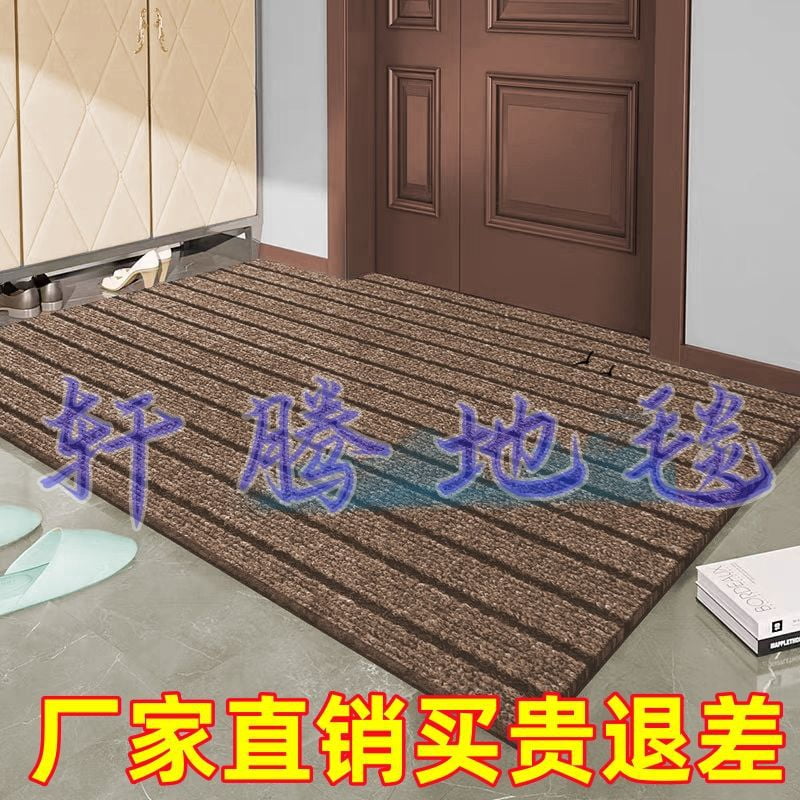 Entrance Floor Mats Highend Entry Door Outer Door Slope Large Size