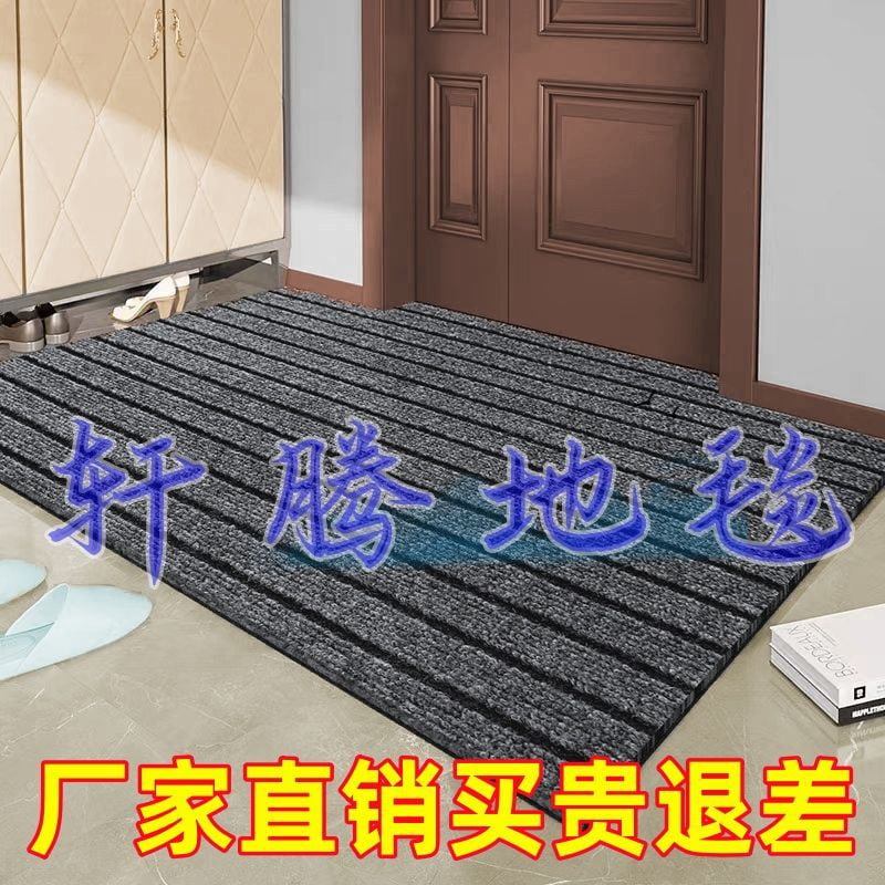 Entrance Floor Mats Highend Entry Door Outer Door Slope Large Size