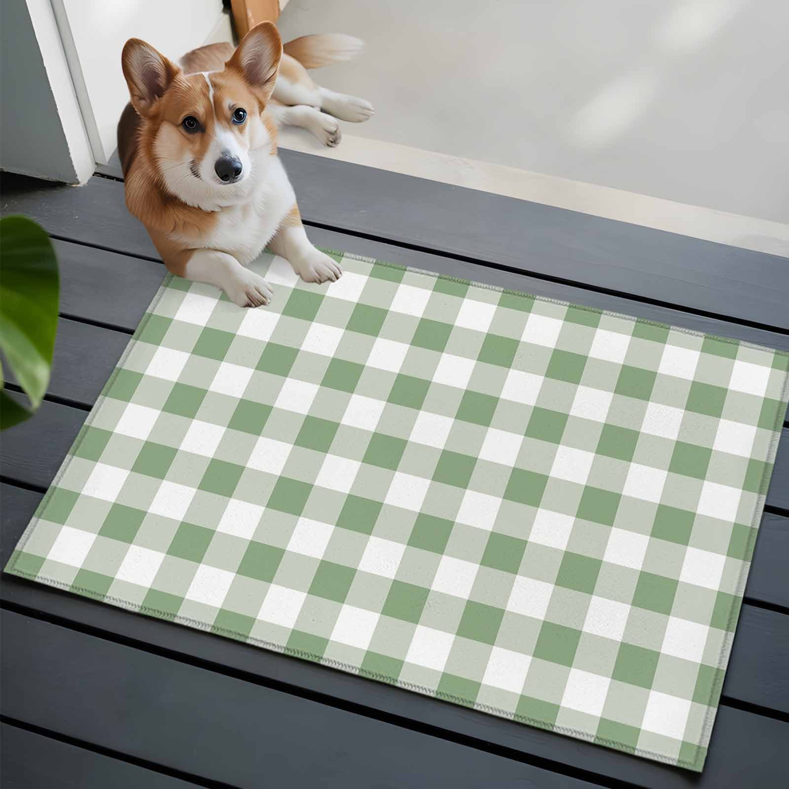 Entrance Runner Rug 2'x3', Sage Green Checkered Non-slip Doormat for Indoor Outdoor Entrance, Farmhouse Buffalo Plaid Washable Throw Floor Mat for Front Door/Living Room/Bedroom/Bathroom/Kitchen