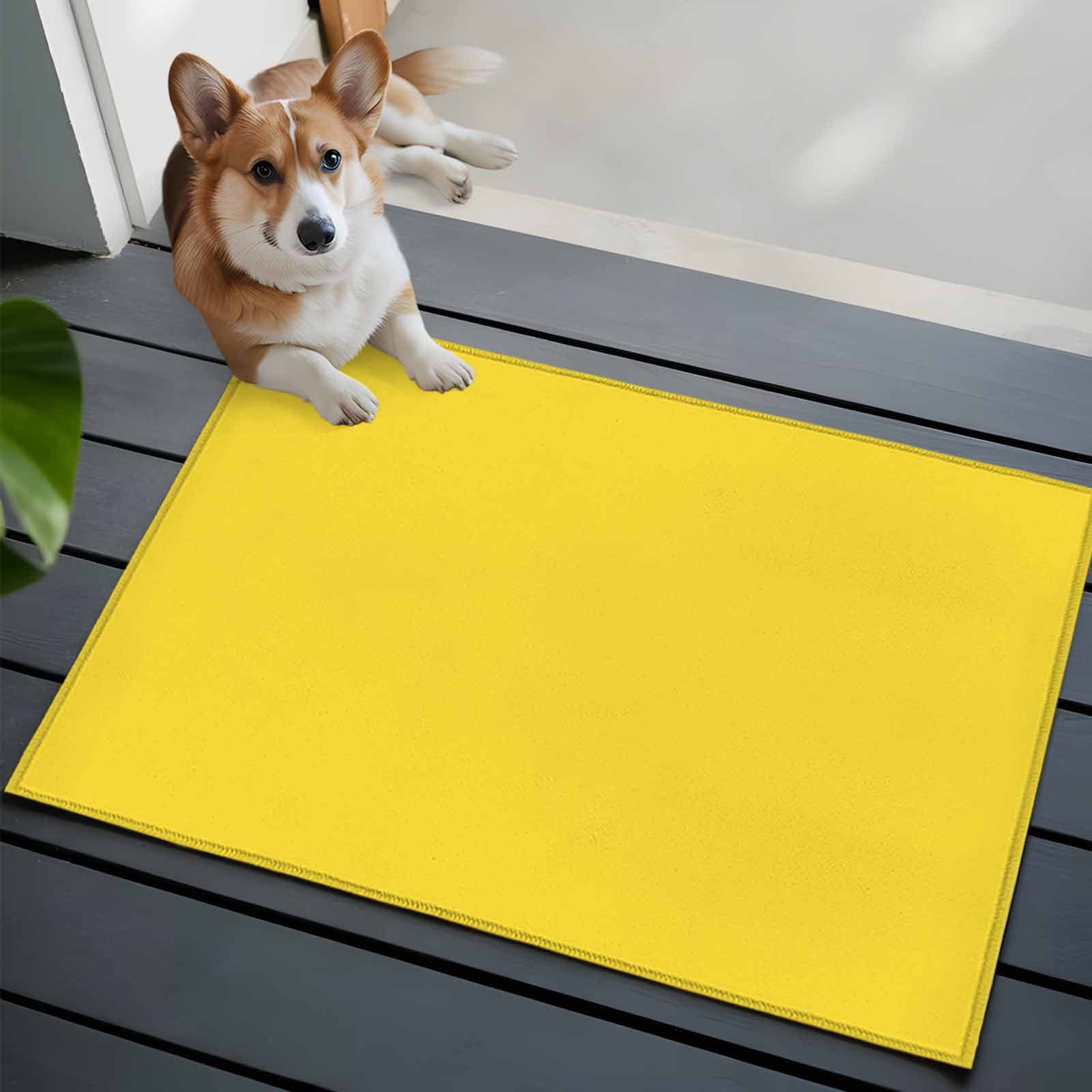 Entrance Runner Rug 2'x3', Yellow Non-slip Doormat for Indoor Outdoor Entrance, Pure Yellow Washable Throw Floor Mat for Front Door/Living Room/Bedroom/Bathroom/Kitchen