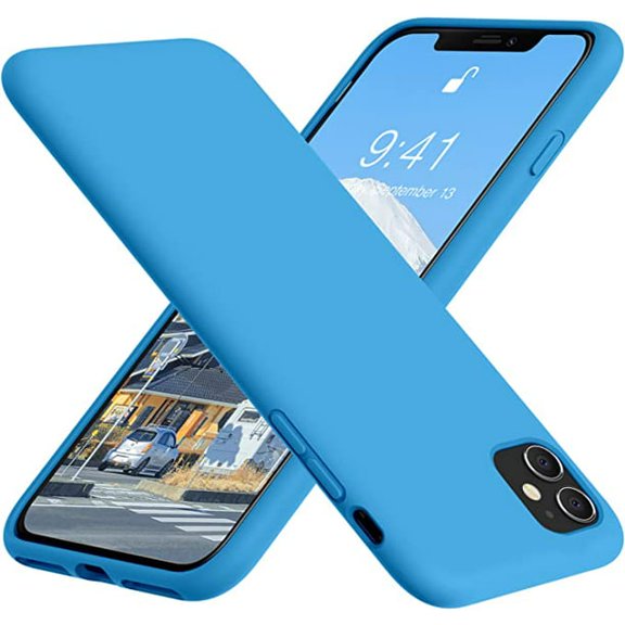 Entronix Liquid Silicone Back Cell Phone Case for iPhone 11, 6 in, Aqua