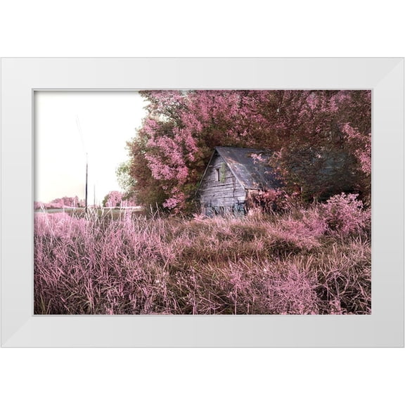 Entropy, Timothy 14x11 White Modern Wood Framed Museum Art Print Titled - Pink Landscape 7