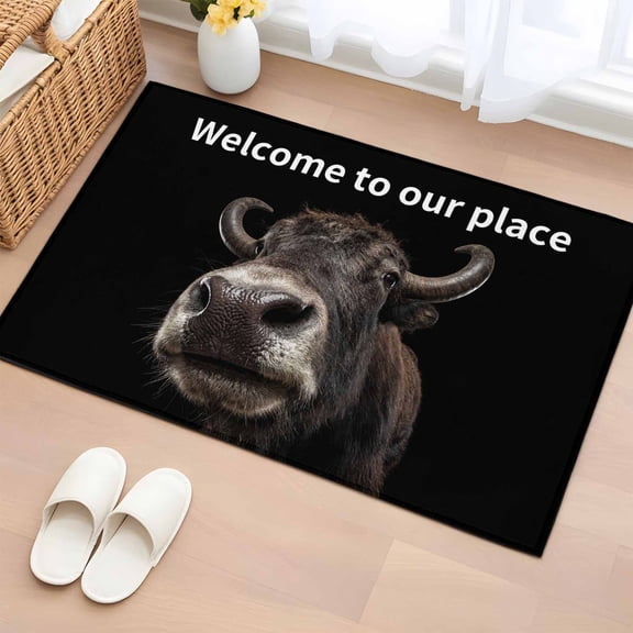 Entryway Rug 2'x3', Funny Yak Small Rug for Kitchen Bathroom Door Mat Indoor Entrance, Welcome To OUR Place Modern Retro Non-Slip Area Rugs Floor Mats Carpet Front Door Rugs