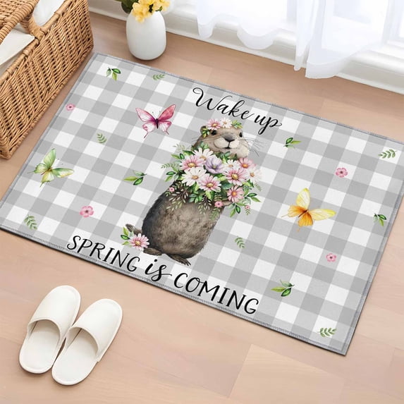 Entryway Rug 2'x3', Grey Plaid Groundhog Small Rug for Kitchen Bathroom Door Mat Indoor Entrance, Spring Floral Butterfly Botanical Non-Slip Area Rugs Floor Mats Carpet Front Door Rugs